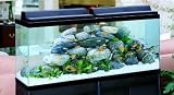 United Pet Group Aquatic Bio-whiteeel Aquarium Kit 55 Gallon - PFK55B