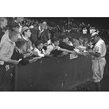 Babe Ruth Brooklyn Dodgers 1936 Archival Photo Sports Poster Print - 11x17 custom fit with RichAndFramous Black 17 inch Poster Hangers