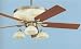 Cordoba Antique Nickel Ceiling Fan W/ Light Kit - Free Shipping