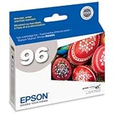 Epson T096720 Stylus Photo R2880 Printer UltraChrome K3 Ink Cartridge (Light Black)
