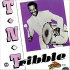 T.N.T. Tribble, Vol. 1 by  T.n.t. Tribble 