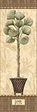 IMAGE OF Botanical Palm I PREMIUM GRADE Rolled CANVAS Art Print Charlene Audrey 12x36