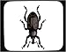 Decorated Mouse Pad with beetle, insect, weevil, invertebrate, snout, pest, snytbagge...