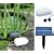 SOLAR POWERED POND OXYGENATOR (743)-KEEP YOUR POND CLEAN & HEALTHY
