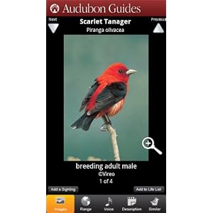 Audubon Birds: A Field Guide to North American Birds Audubon Birds: A Field Guide to North American Birds