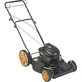 Poulan Pro Self-Propelled Walk-Behind Mower - 6.5 HP, Model# PR65Y22SHP