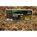 Terra Exotica Sphagnum Moos 250 g