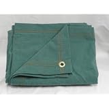 Buy 10' x 12' Green Canvas Tarpaulin by CC
