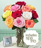 One Dozen Assorted Roses w/Lavender Spa Trio