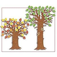 BB SET CLASSROOM TREE