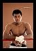 parkinsons37  - Muhammad Ali Resting on Ropes Black WoodMounted Sports