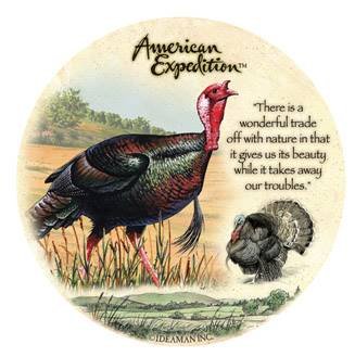 Turkey Stone Coasters (4)