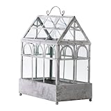 Terrarium Plant Container