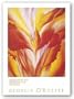 Red Canna by Georgia O'Keeffe 24"x20" Art Print Poster