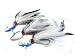 NEW Kamikaze FEATHER JIGS - JTR04S-2 - 55g -3 Pcs/Pk