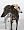 Greyhounds