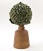 Pinecone Finial - Evergreen