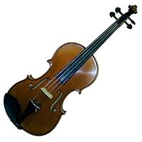 Molinari Romanian 1/2 Size Student Violin Outfit (Nitro Finish, Wood Bow, Thermoplastic Case)