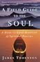 A Field Guide to the Soul: A Down-to-Earth Handbook of Spiritual Practice