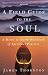 Book A Field Guide to the Soul: A Down-to-Earth Handbook of Spiritual Practice