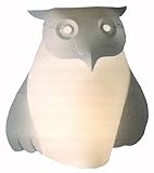 �C���e���A�Ɩ� �Y�[���C�g �t�N���E DS001-2