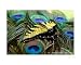 Butterfly on Bed of Eyes