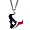 Houston Texans