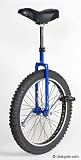 Kris Holm 24 Mountain Unicycle