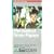 Scent of Green Papaya [VHS] [1994]