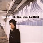 Click here to buy The Fine Art of Self Destruction by Jesse Malin .