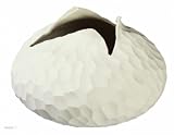 Produkt-Bild: ASA Selection - Yoko Vase, Carve, 13 cm