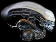 Alien Life-Size Bust from Alien (1:1 scale)