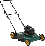 Weed Eater 961140009 22-Inch 158cc Briggs and Stratton Gas Powered Side Discharge/Mulch Lawn Mower