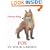 Fox in Your Garden