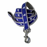 Los Angeles Dodgers MLB Dog Leash-Six Foot Large