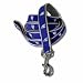 Los Angeles Dodgers MLB Dog Leash-Six Foot Large