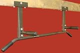 Ceiling Mount Chin up Bar Combo