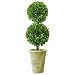 Preserved Boxwood Double Ball 20"