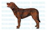 Pet Supplies : CHESAPEAKE BAY RETRIEVER - Dog Decal - sticker car got