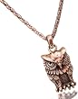 Tiger Mountain Handcrafted Copper Hoot Owl Necklace 18" Copper Chain
