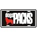 New  Border Collie Dogs Packs  License Plate Dog