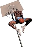 Basketball 258-75038C Wall Mural