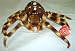 Brown Spider 7 Plush Stuffed Animal Toy