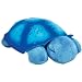 Cloud B Blue Twilight Turtle