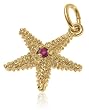 14k Yellow Gold and Ruby Starfish Charm