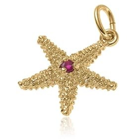14k Yellow Gold and Ruby Starfish Charm by Amazon.com Collection