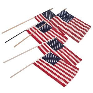 Plastic American Flag 6