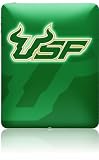 Skinit Protective Skin Fits Ipad (University of South Florida)
