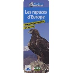Les rapaces d'Europe