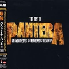 Far Beyond The Great Southern Cowboys by Pantera